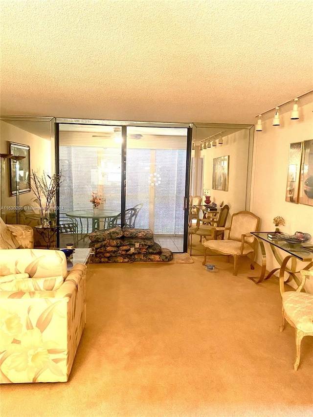 carpeted living room with a textured ceiling and track lighting