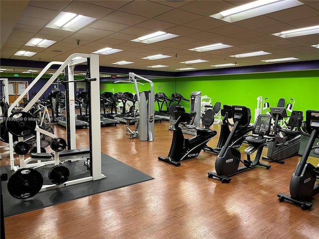 gym with wood-type flooring and a drop ceiling