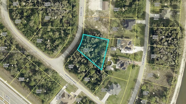 733 Kari Cir, Lehigh Acres FL, 33974 land for sale