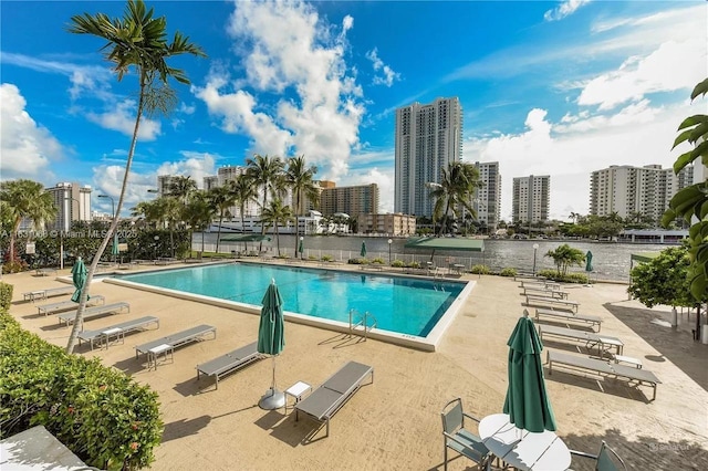 view of pool featuring a patio