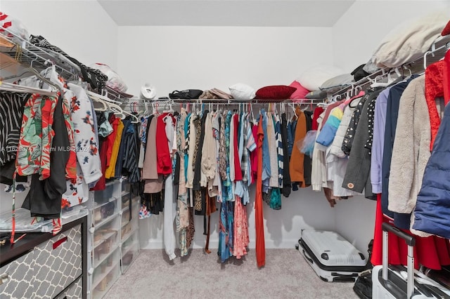 spacious closet with carpet