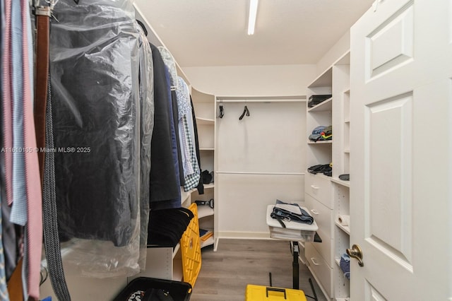 walk in closet featuring dark hardwood / wood-style floors