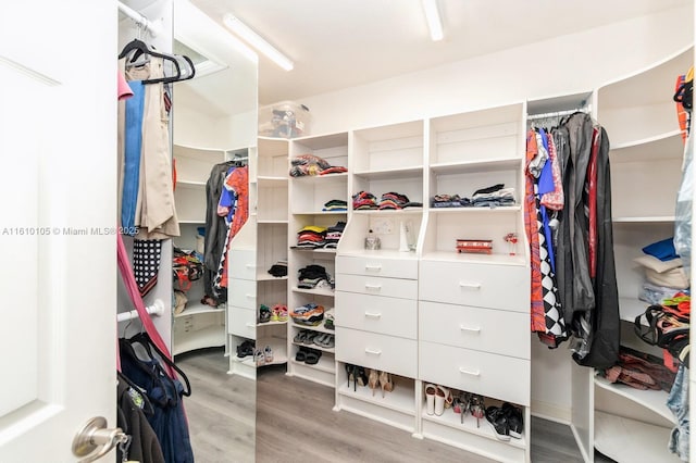 spacious closet with wood-type flooring