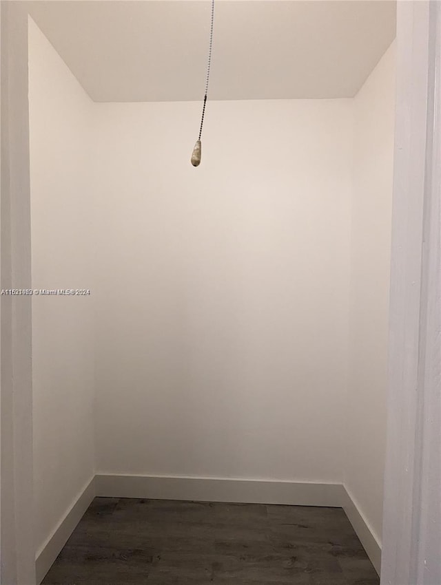 walk in closet with wood-type flooring