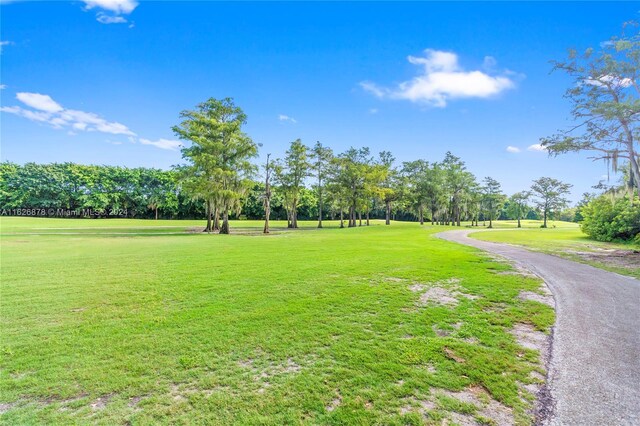 view of home's community featuring a yard