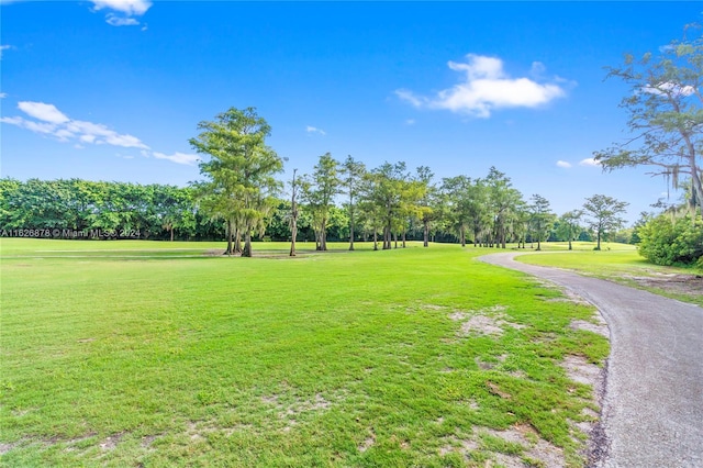 view of property's community featuring a lawn