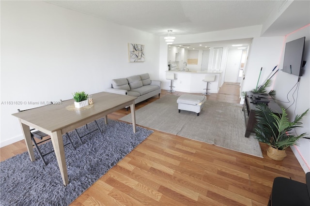 living room featuring light hardwood / wood-style flooring and sink