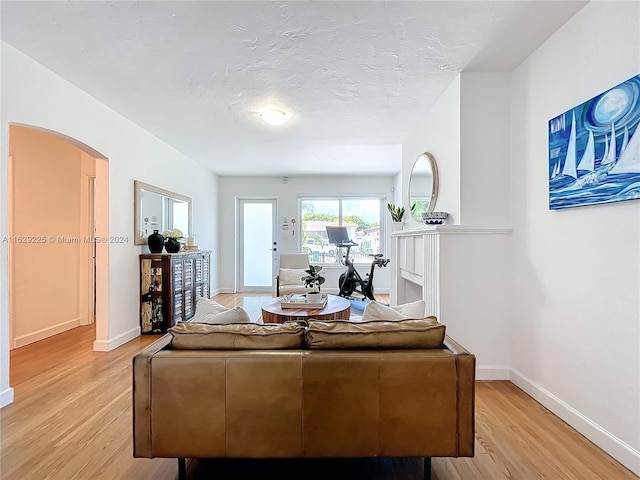 living room featuring light hardwood / wood-style flooring