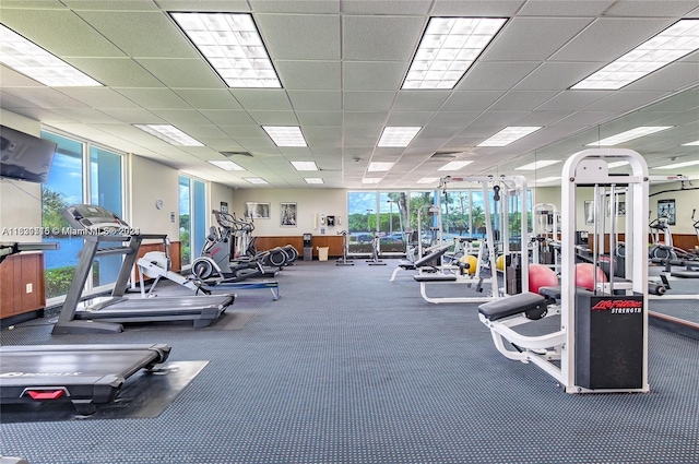 exercise room featuring carpet flooring and a paneled ceiling