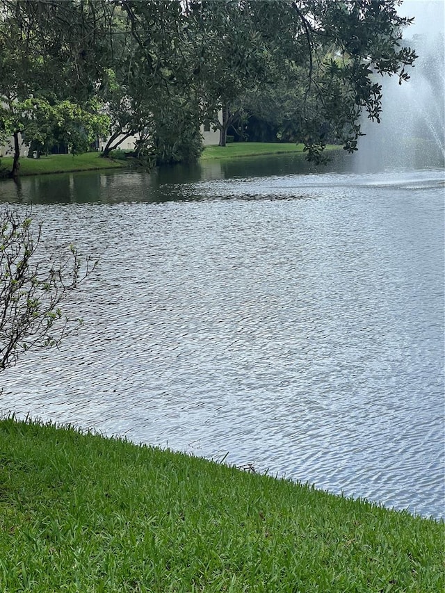 view of water feature