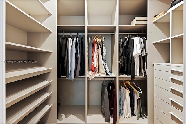 view of spacious closet