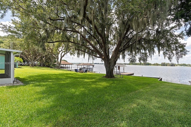 view of yard with a dock and a water view