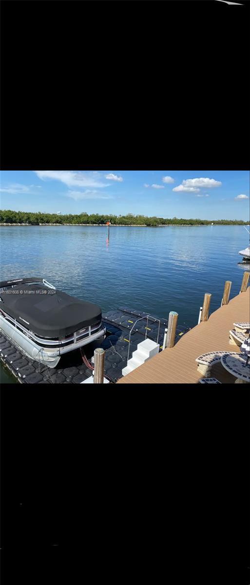 view of dock area