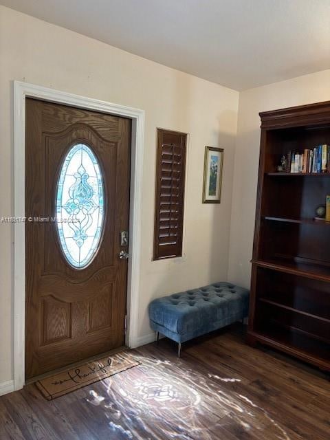 entrance foyer with dark wood-type flooring