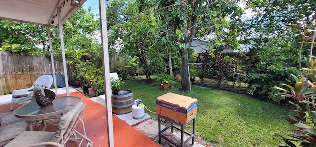 view of yard featuring a patio