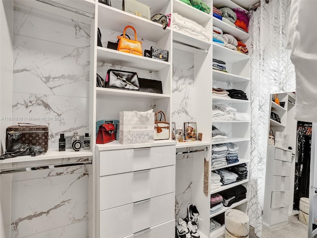 4414 Ficus St, Hollywood, FL 33021 - view of walk in closet