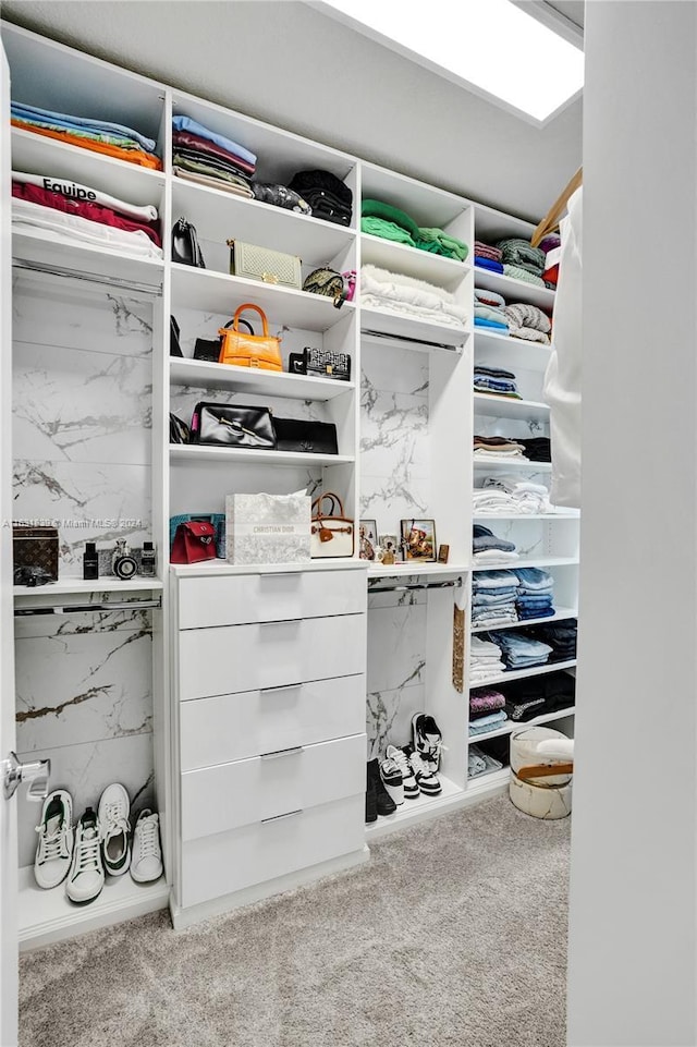 4414 Ficus St, Hollywood, FL 33021 - walk in closet featuring carpet flooring
