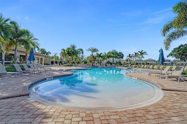 4414 Ficus St, Hollywood, FL 33021 - pool with a patio
