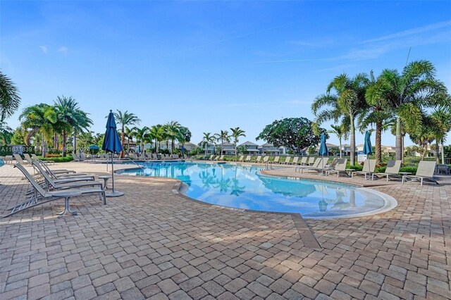 4414 Ficus St, Hollywood, FL 33021 - community pool featuring a patio