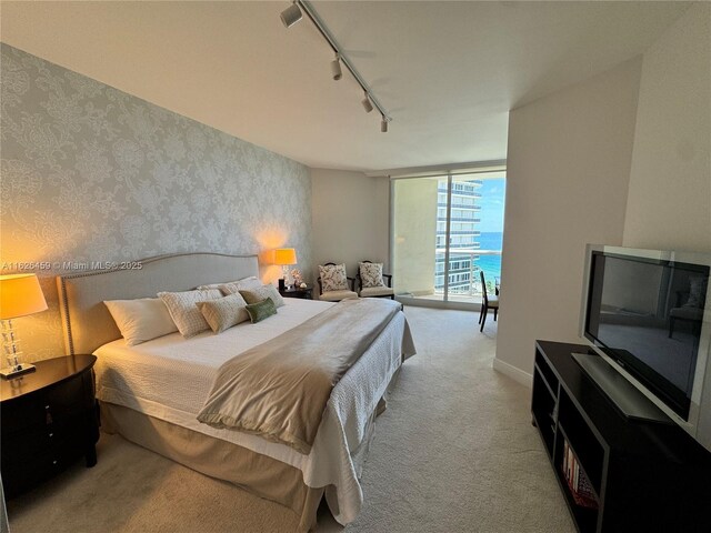 carpeted bedroom featuring floor to ceiling windows, access to outside, and rail lighting