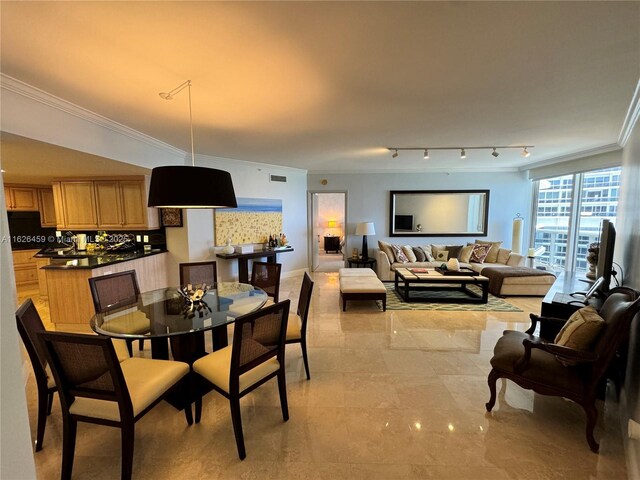 living room featuring crown molding and track lighting