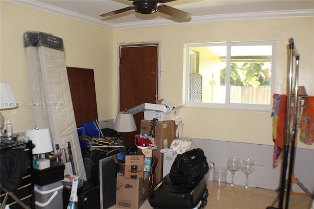 bedroom featuring ceiling fan and ornamental molding