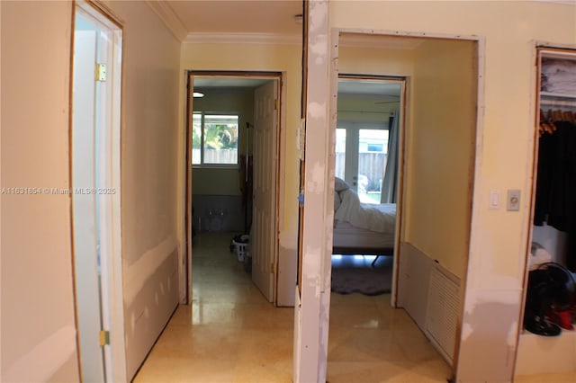 hall featuring a wealth of natural light and crown molding