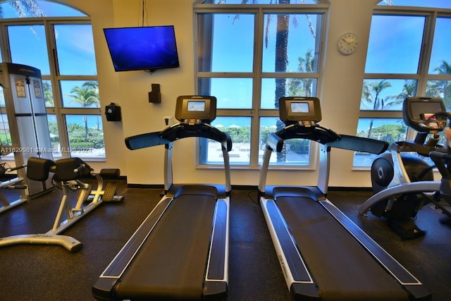 gym with a wealth of natural light and a high ceiling