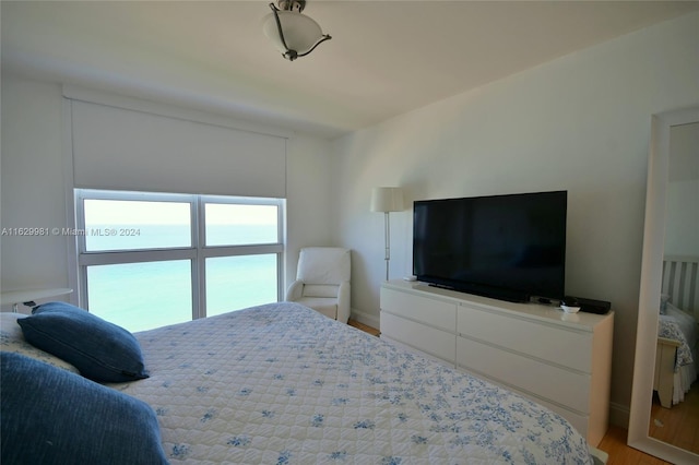 bedroom featuring hardwood / wood-style floors