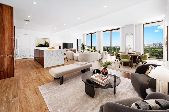 living room featuring expansive windows, light hardwood / wood-style floors, and a wealth of natural light