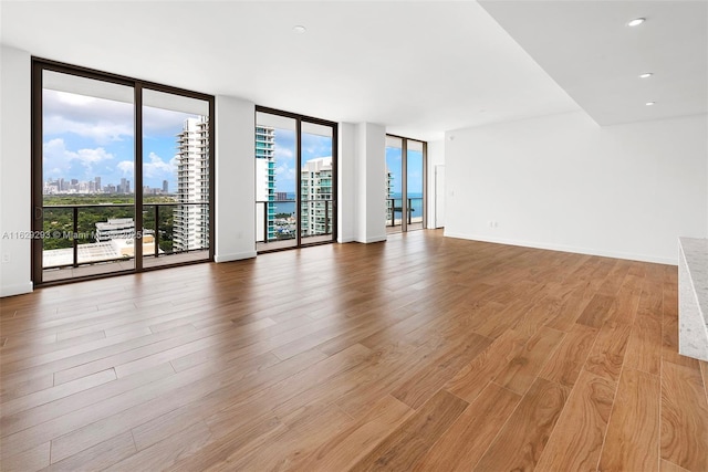 spare room featuring expansive windows and light wood-type flooring