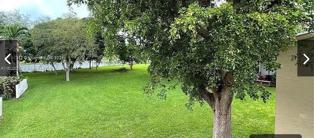 view of yard with a water view