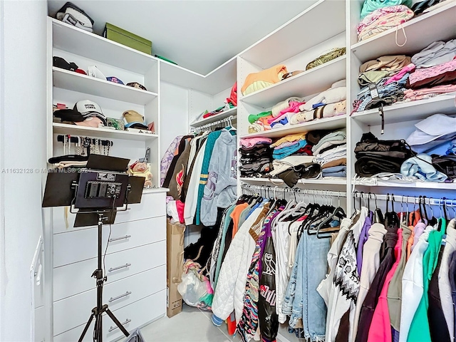 view of spacious closet