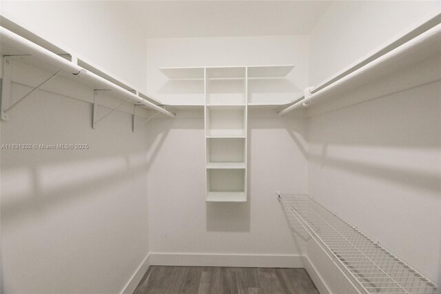 walk in closet with dark hardwood / wood-style floors