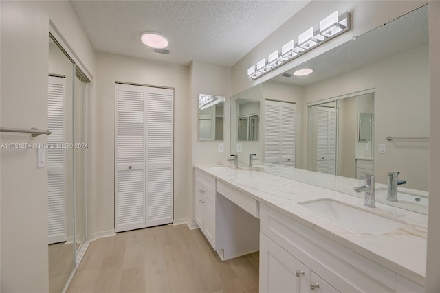 13377 NW 7th St, Plantation, FL 33325 - bathroom with a sink, a closet, and wood finished floors