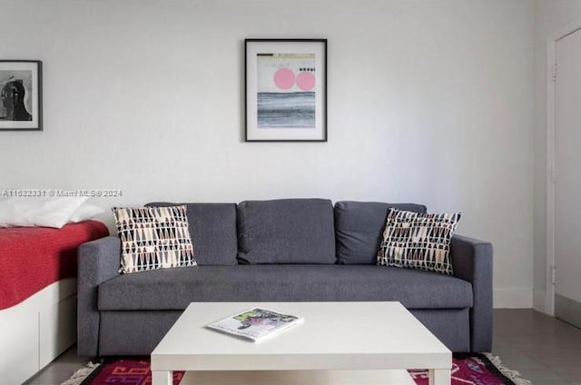 living room with wood-type flooring