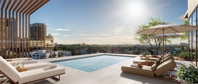 view of swimming pool featuring a patio area and outdoor lounge area