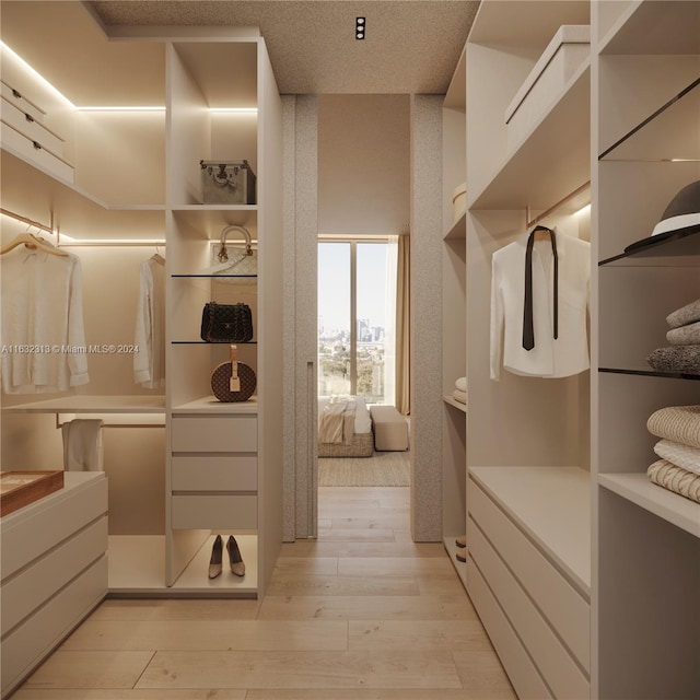 spacious closet with light hardwood / wood-style flooring