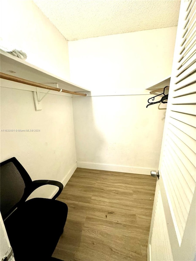 spacious closet with wood-type flooring