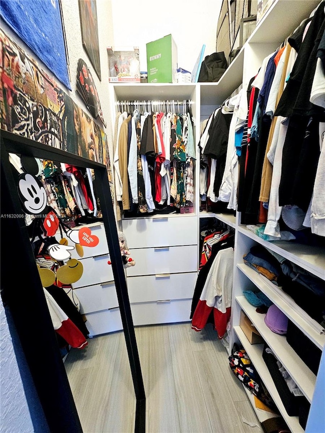 spacious closet with light hardwood / wood-style flooring