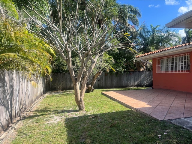 view of yard with a patio