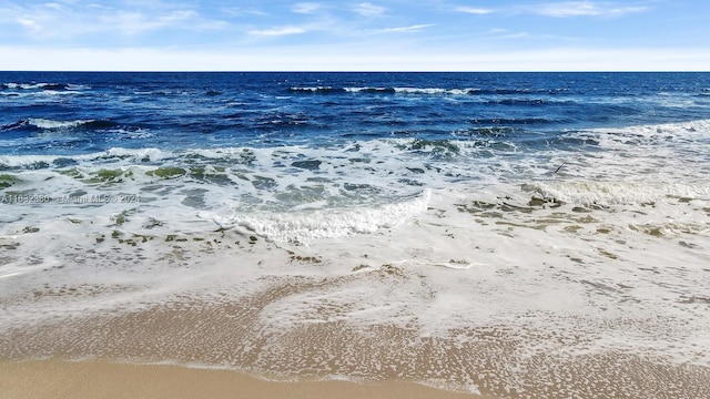 view of water feature with a beach view