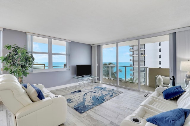 living room with a wall of windows and light hardwood / wood-style flooring