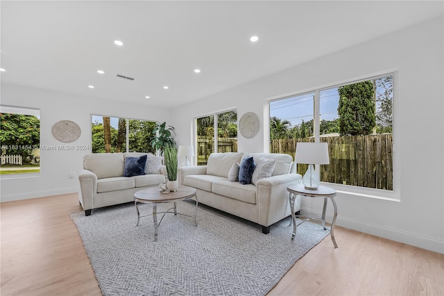 living room featuring light hardwood / wood-style floors