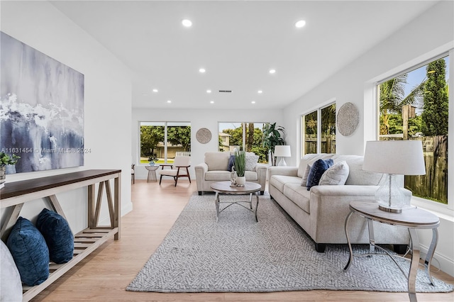 living room featuring light hardwood / wood-style flooring and a healthy amount of sunlight