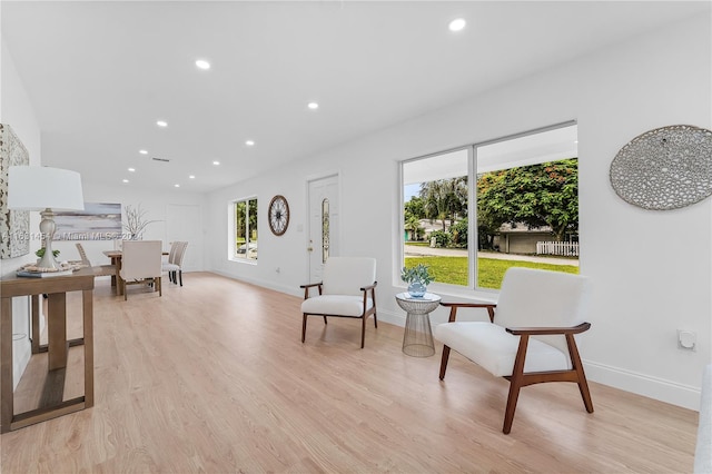 sitting room featuring light hardwood / wood-style flooring and a wealth of natural light