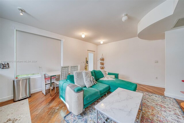 living room with light wood-type flooring