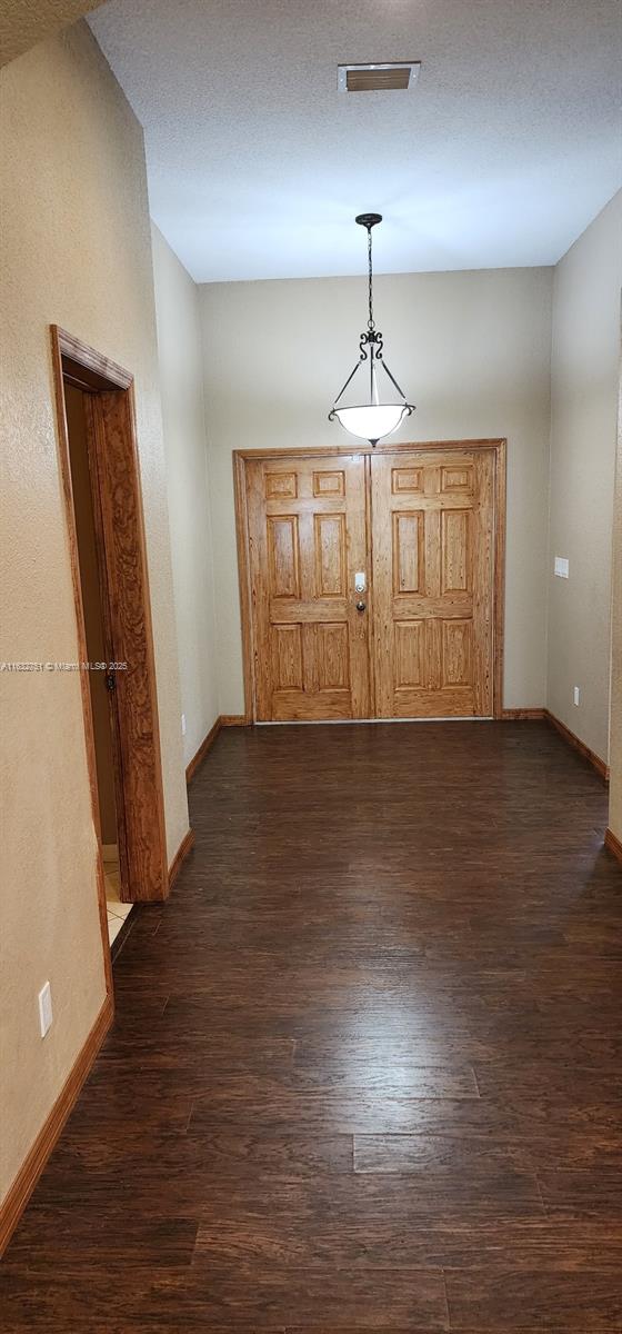 entryway featuring dark wood-type flooring