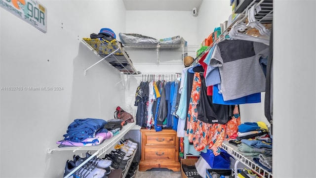 view of spacious closet