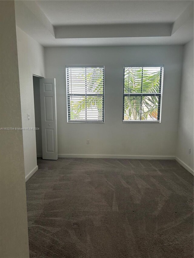 unfurnished room with a wealth of natural light, dark colored carpet, and a raised ceiling